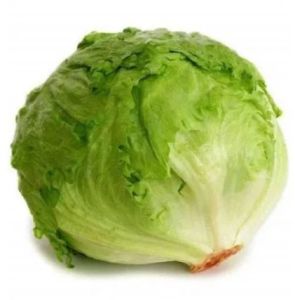 Fresh Iceberg Lettuce