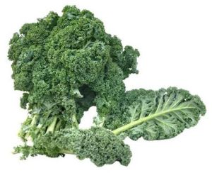 Fresh Kale Leaves