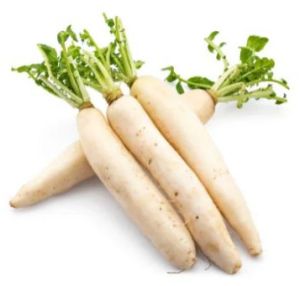 Fresh Long Radish