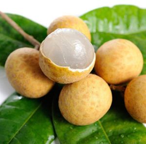 Fresh Longan Fruit