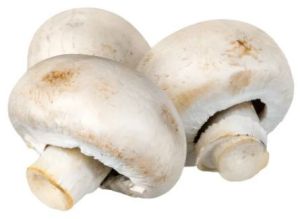Fresh Mushroom