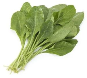 Fresh Natural Spinach Leaves