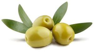 Fresh Olive Fresh Olive