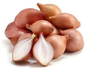 Fresh Shallot Onion