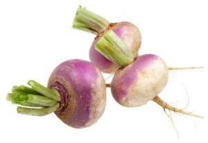Fresh Turnip