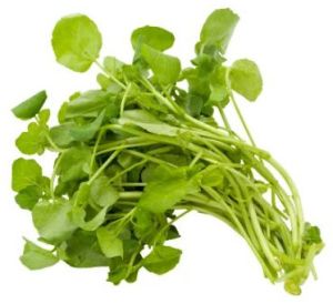 Fresh Water Cress Leaves
