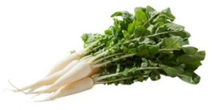 Fresh Radish