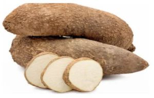 Fresh Yam Roots