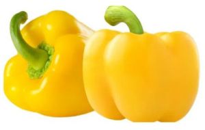 Fresh Yellow Capsicum