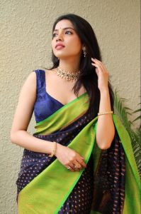 Ladies Navy Blue Zari Border Saree