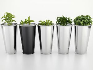 Stainless Steel Indoor Planter Pot