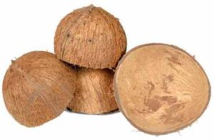 Broken Coconut Shell
