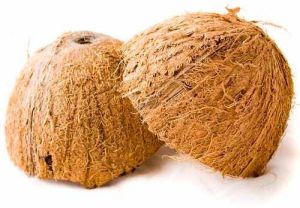 Dehusked Coconut Shell