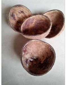 Industrial Coconut Shell