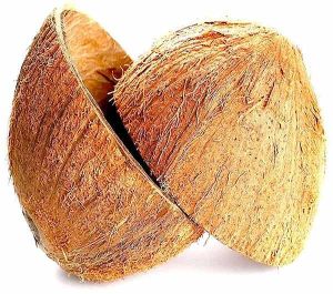 Natural Coconut Shell