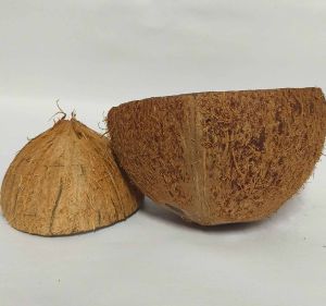 Semi Husked Coconut Shell