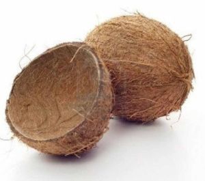 Sun Dried Coconut Shell