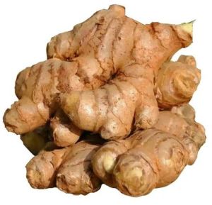 Premium Fresh Natural Ginger