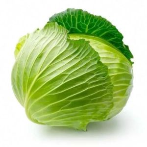 Farm Fresh Green Cabbage