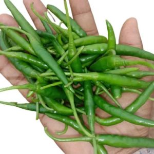 Fresh Green Chilli
