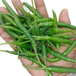 Fresh Green Chilli