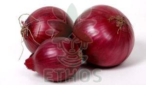 Fresh Red Onion