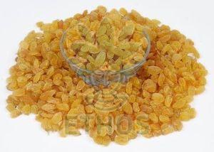 Premium Golden Raisin