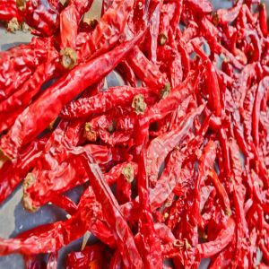 Byadgi Dried Red Chilli