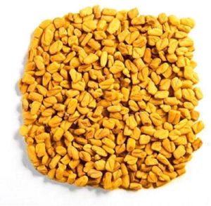 Fenugreek Seeds