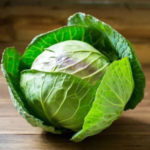 Fresh Cabbage Fresh Cabbage