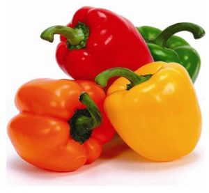 Fresh Capsicum Fresh Capsicum