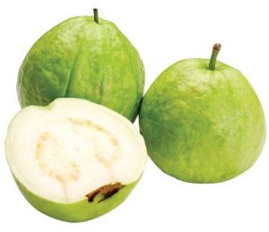 Fresh Guava Fresh Guava