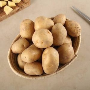 Fresh Potato