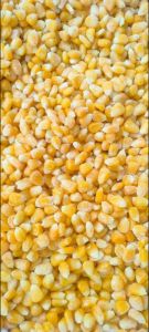 Frozen Corn Kernels