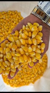 Frozen Corn Kernels