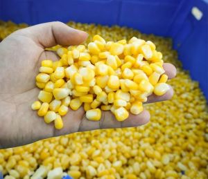 Frozen Corn Kernels