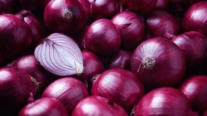 Fresh Premium Red Onion