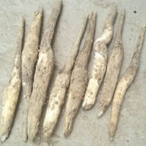 90cm Teak Stumps