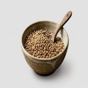 Coriander Seeds