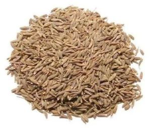 Cumin Seed