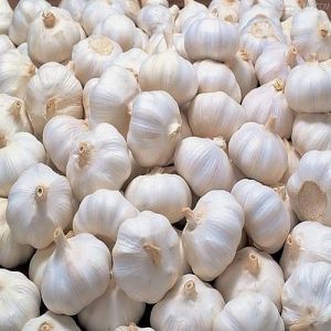 Natural Fresh Garlic