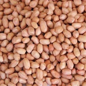 Raw Peanut Kernel