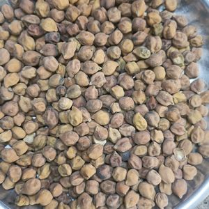 Brown Desi Chana