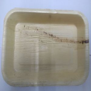 9x6 Inch Rectangle Areca Leaf Plates