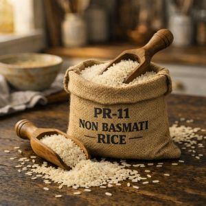 PR-11 White Non Basmati Rice