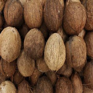Fresh Fully Husked Coconut