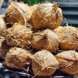 Natural Semi Husked Coconut