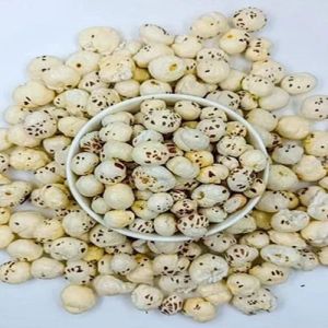 3 Suta Fox Nuts 3 Suta Fox Nuts