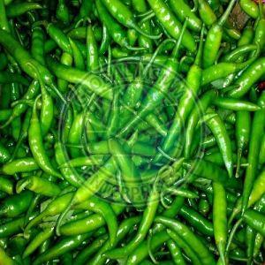 Fresh Green Chilli