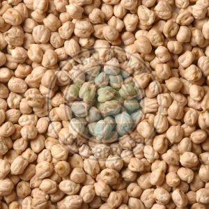 Kabuli Chana
